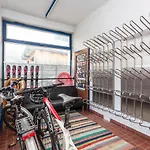 Appartement Gaestehaus Dreier