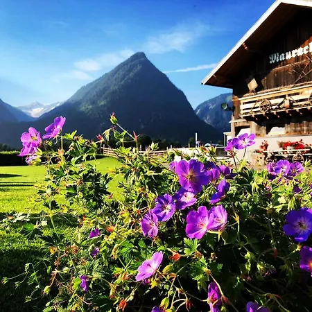 Appartement Gaestehaus Dreier