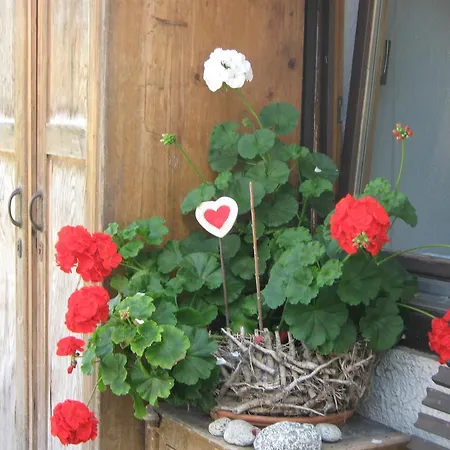 Appartement Gaestehaus Dreier Neukirchen am Großvenediger