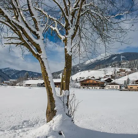 Gaestehaus Dreier Appartement *