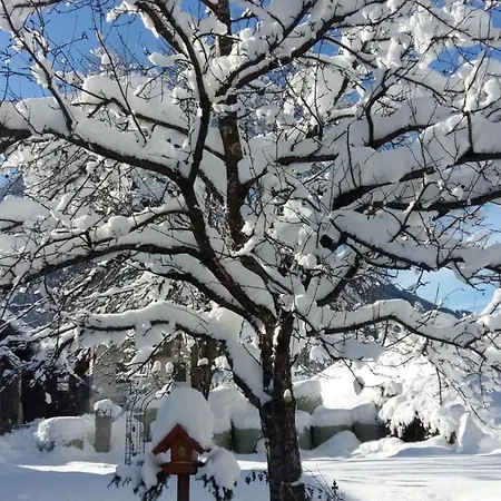 Appartamento Gaestehaus Dreier *